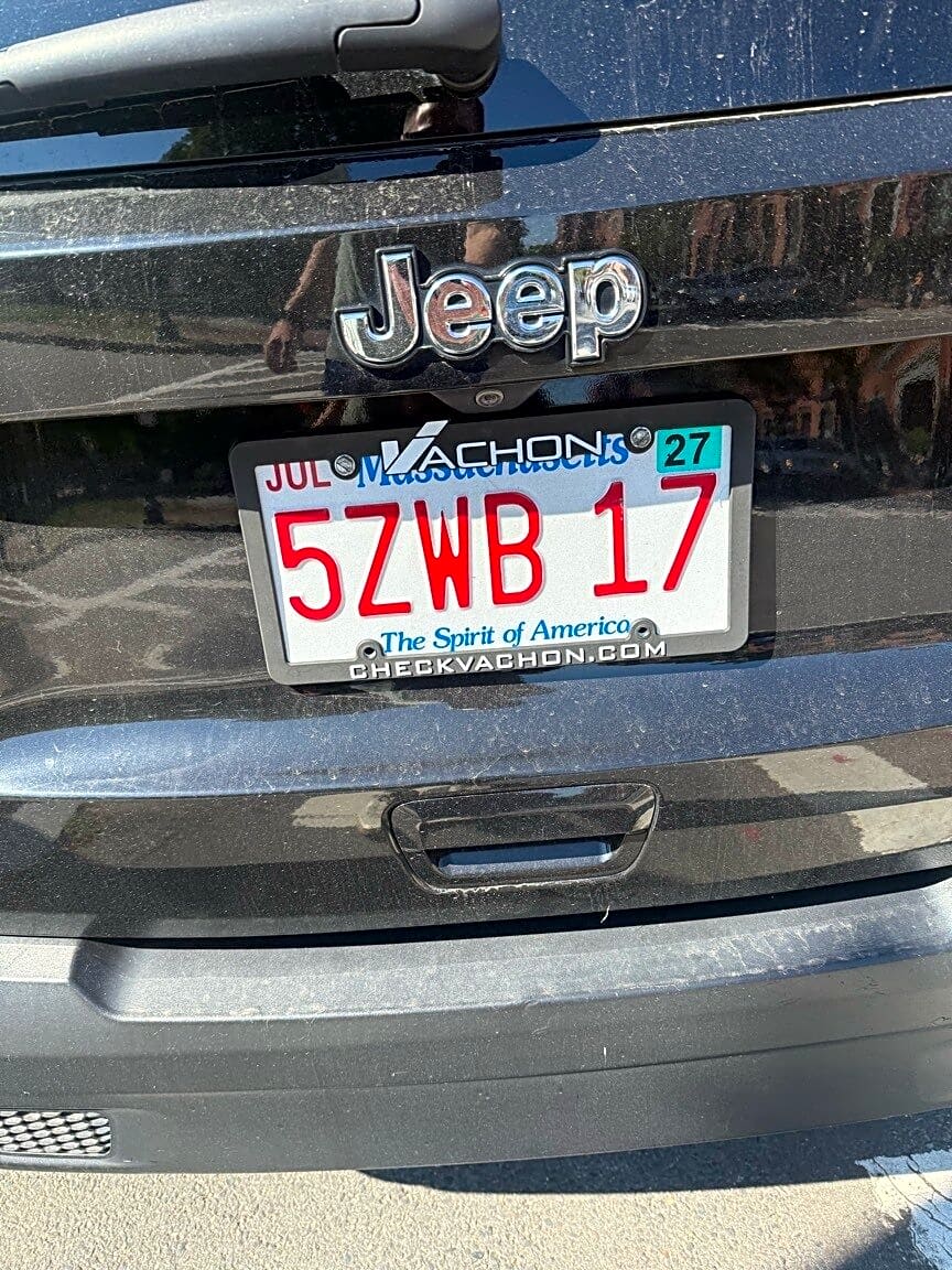 Image submitted with report