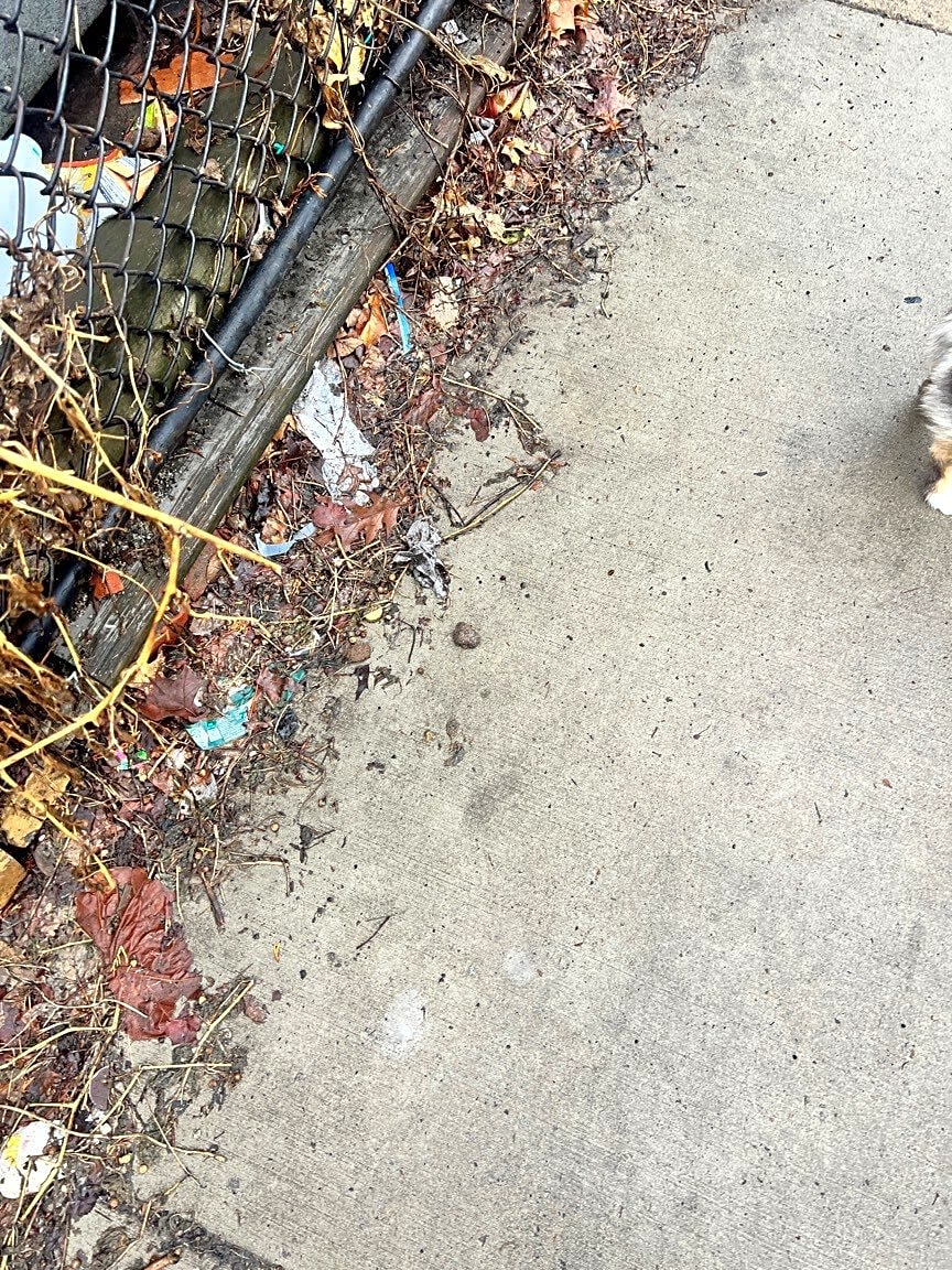 Image submitted with report