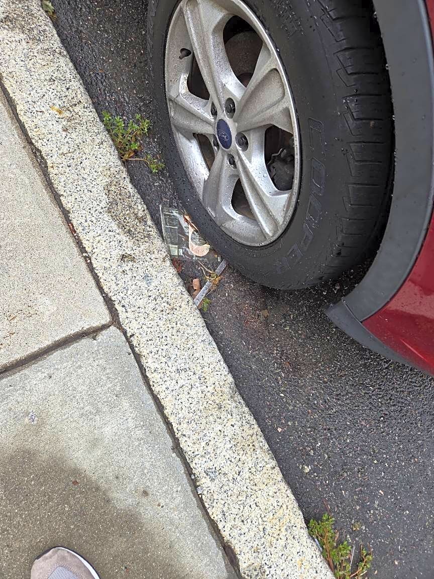 Image submitted with report