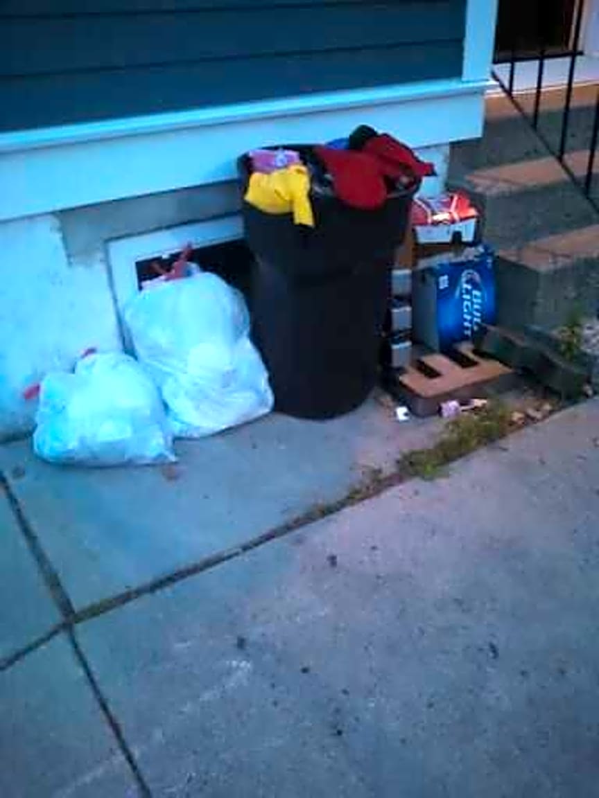 Image submitted with report