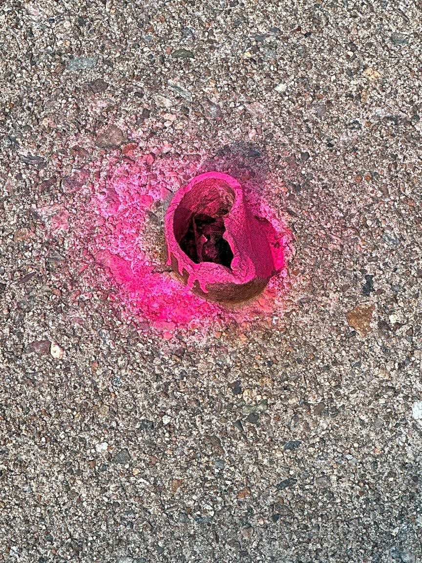 Image submitted with report