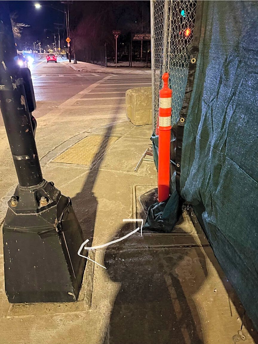 Image submitted with report