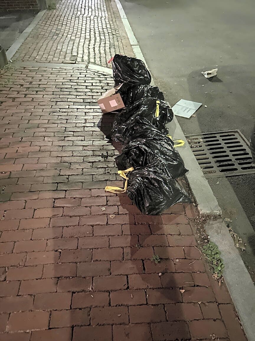 Image submitted with report