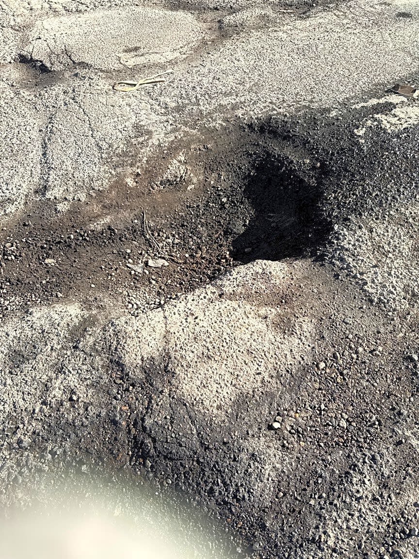 Image submitted with report