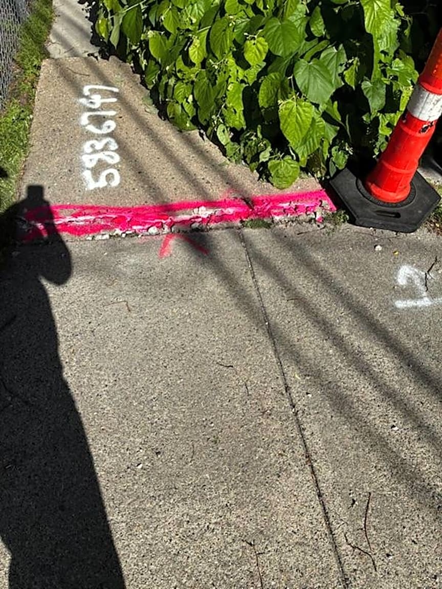 Image submitted with report