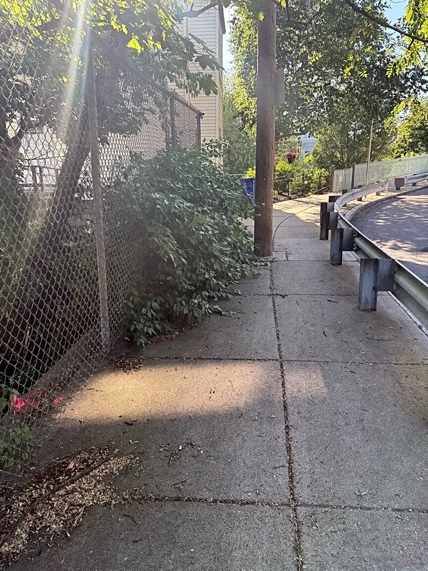 Image submitted with report