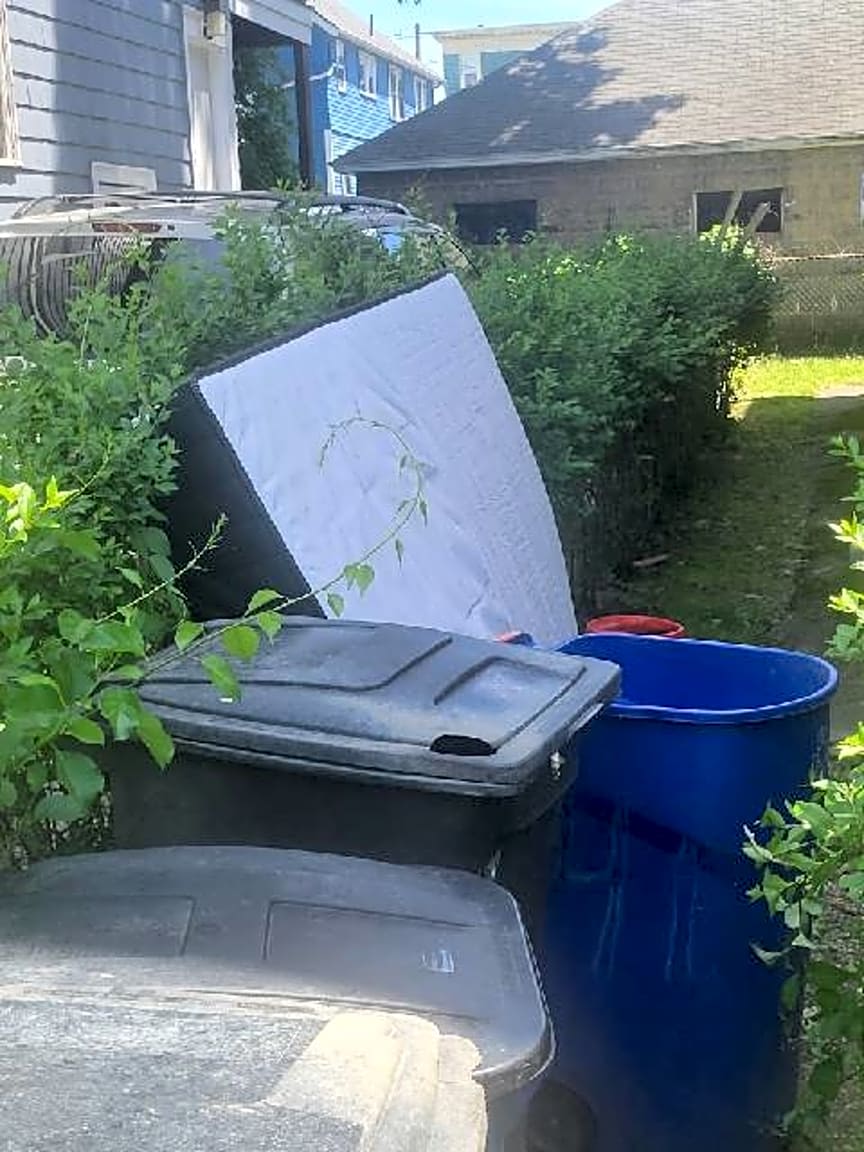 Image submitted with report