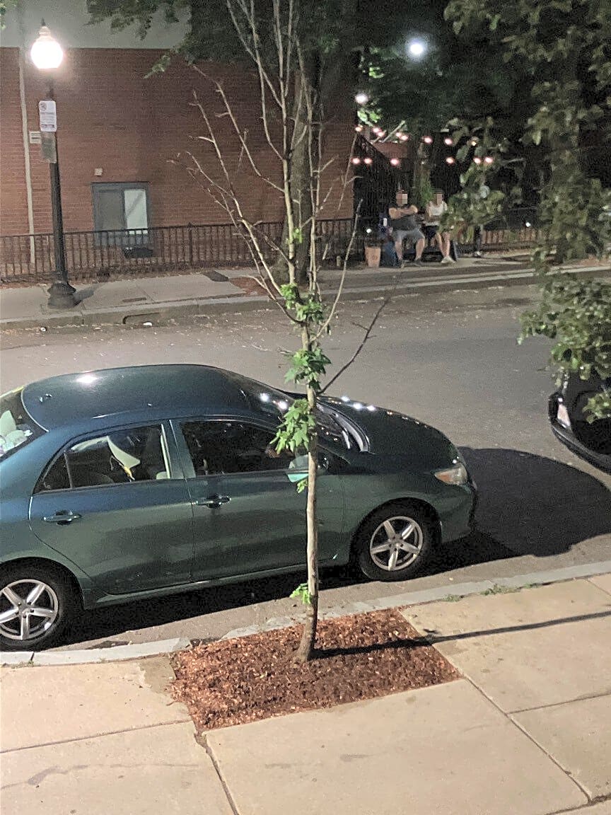 Image submitted with report