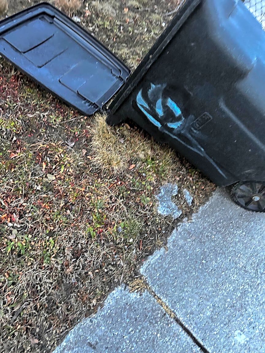 Image submitted with report