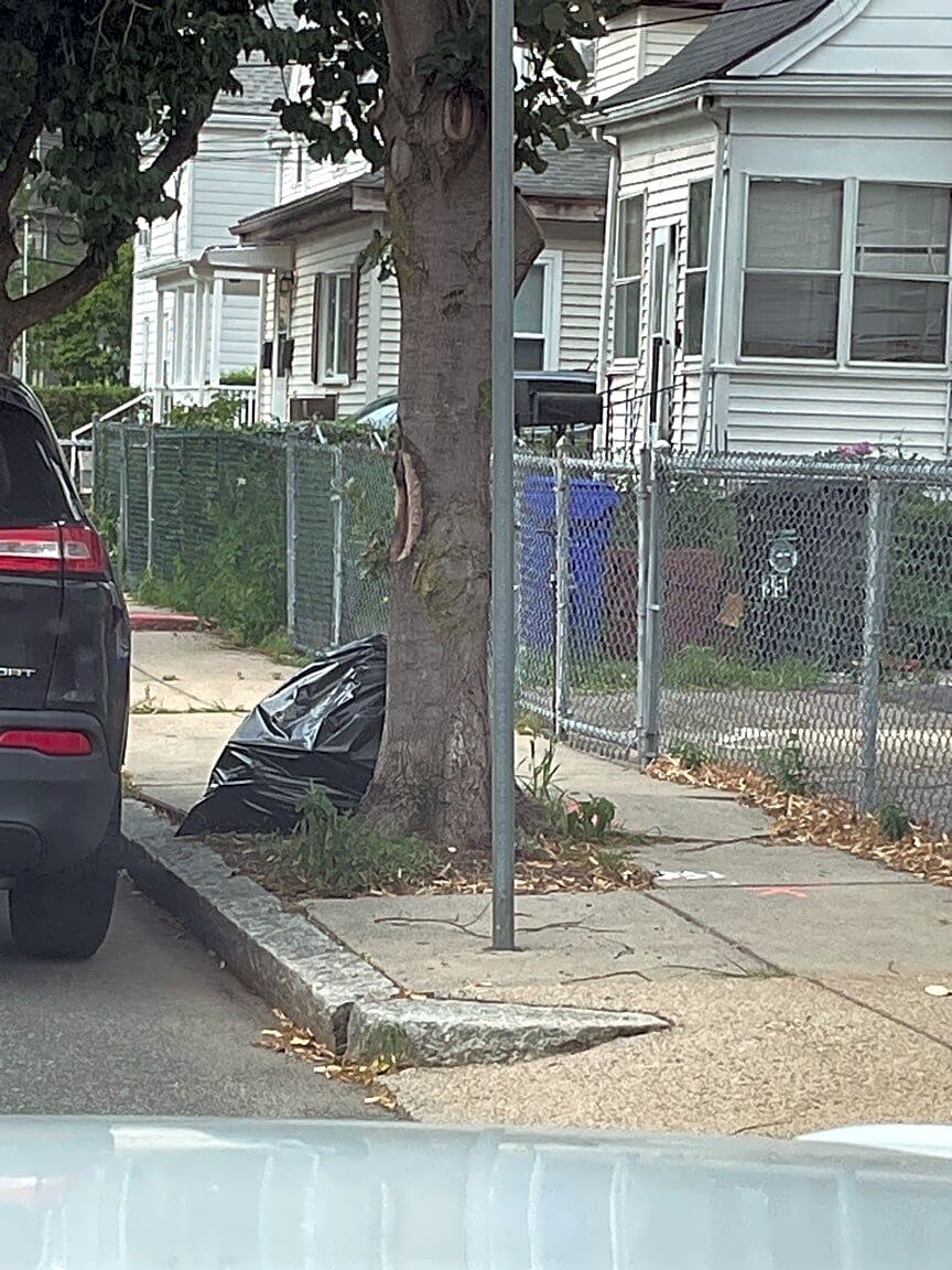 Image submitted with report