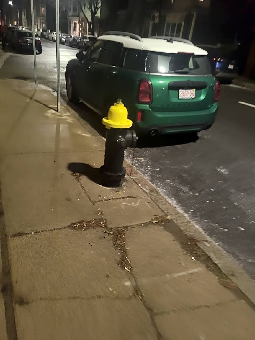 Image submitted with report