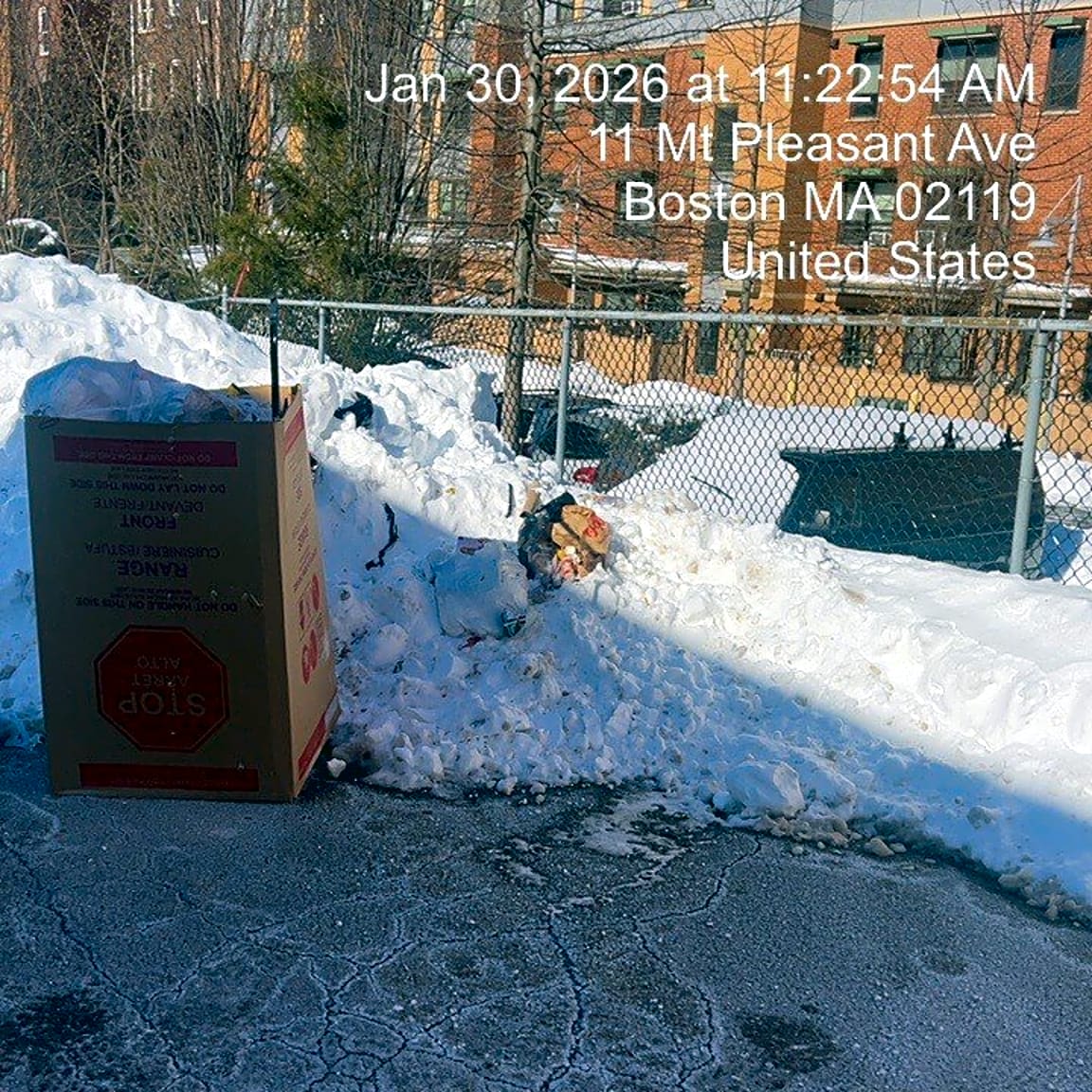 Image submitted with report