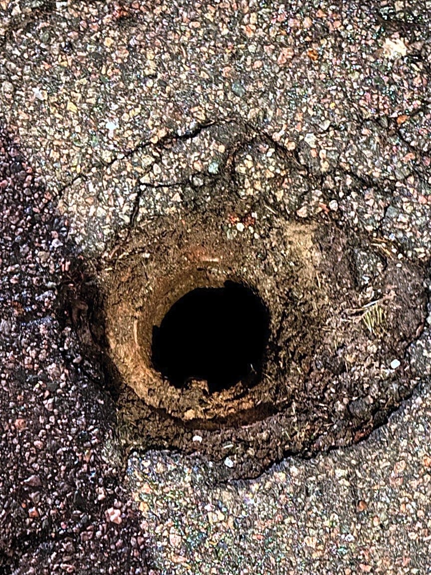 Image submitted with report