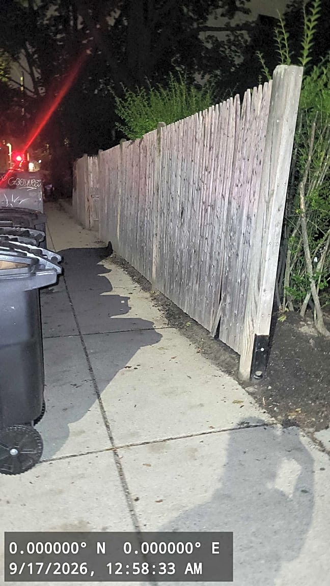 Image submitted with report