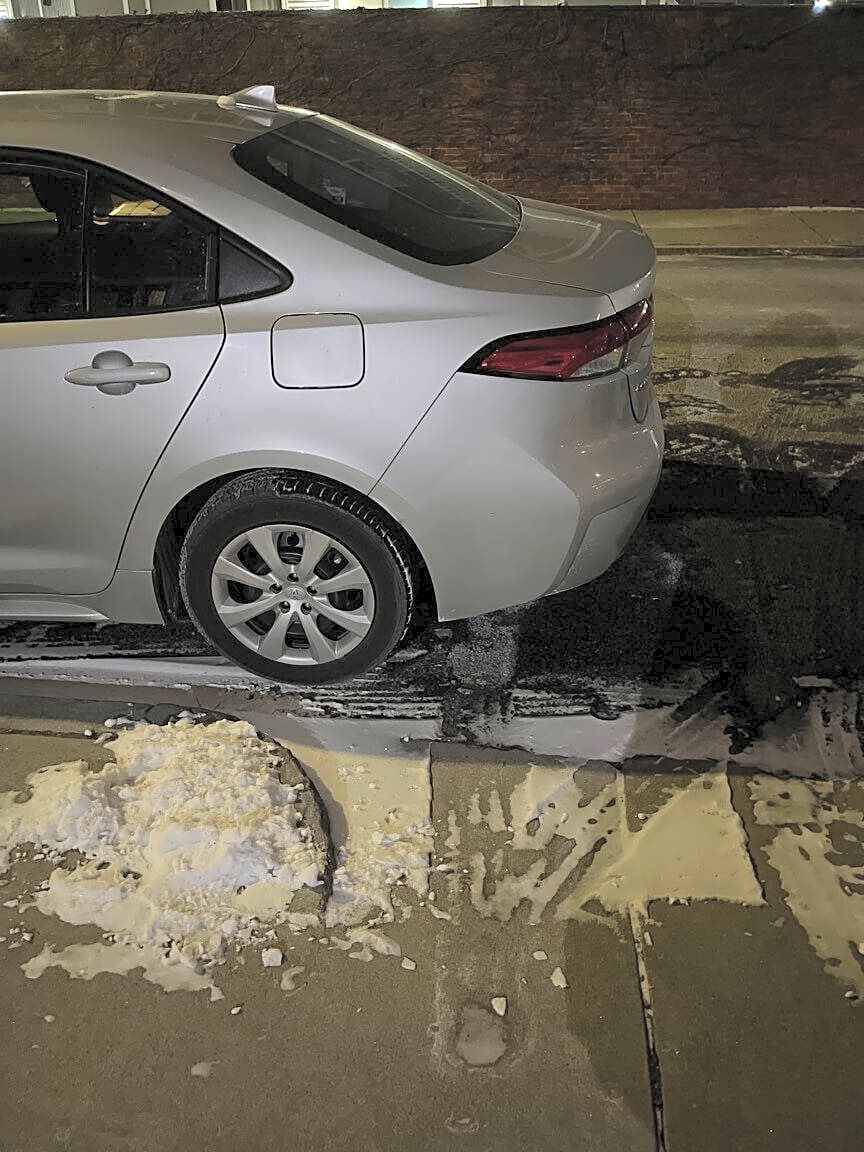 Image submitted with report