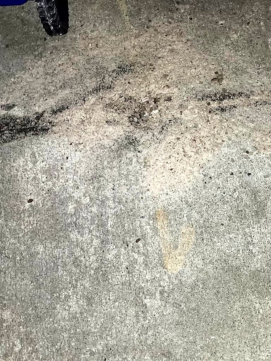 Image submitted with report