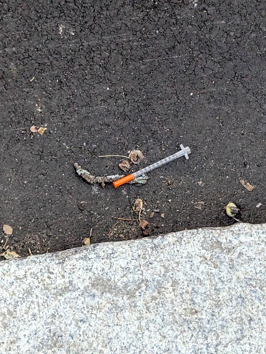 Image submitted with report