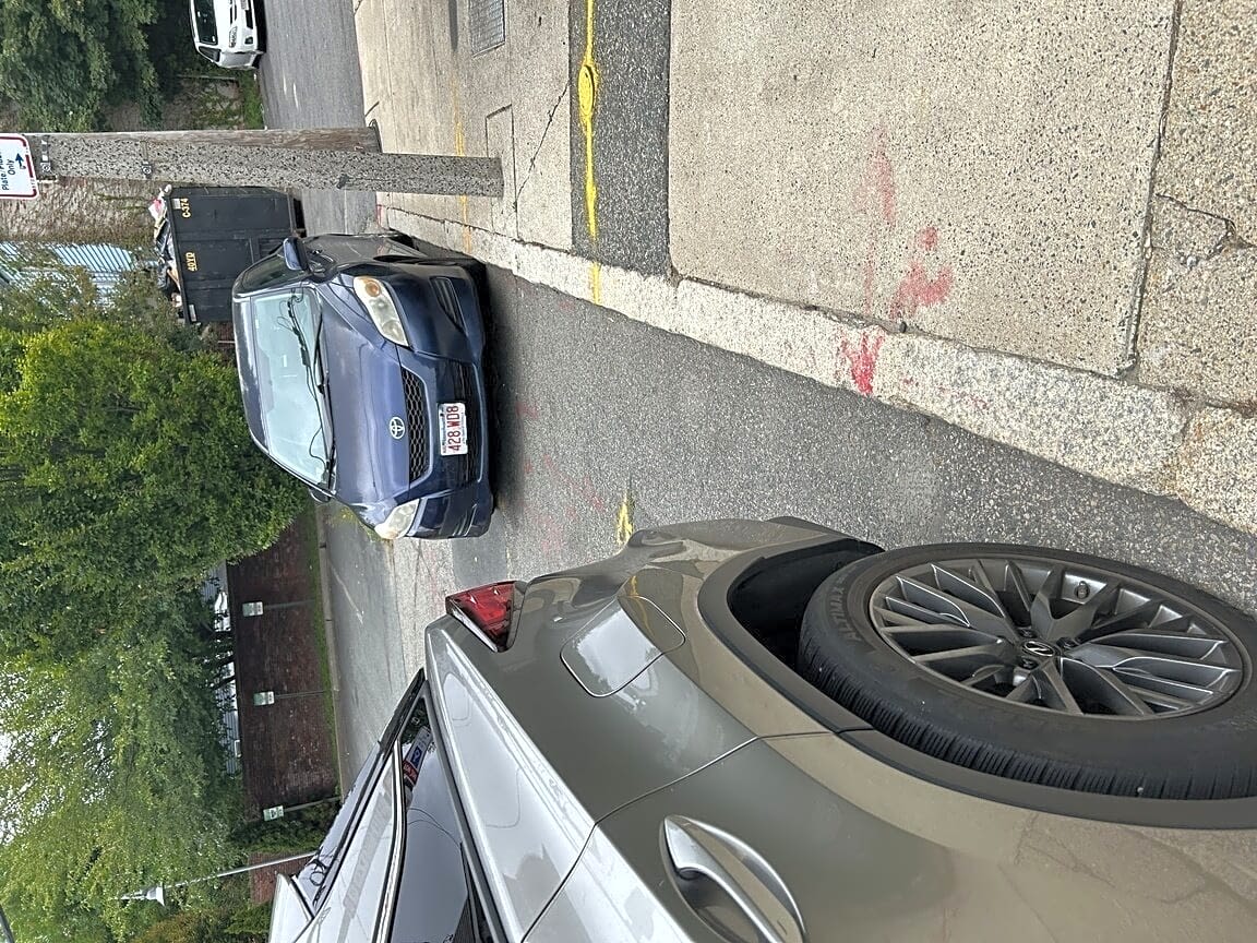 Image submitted with report