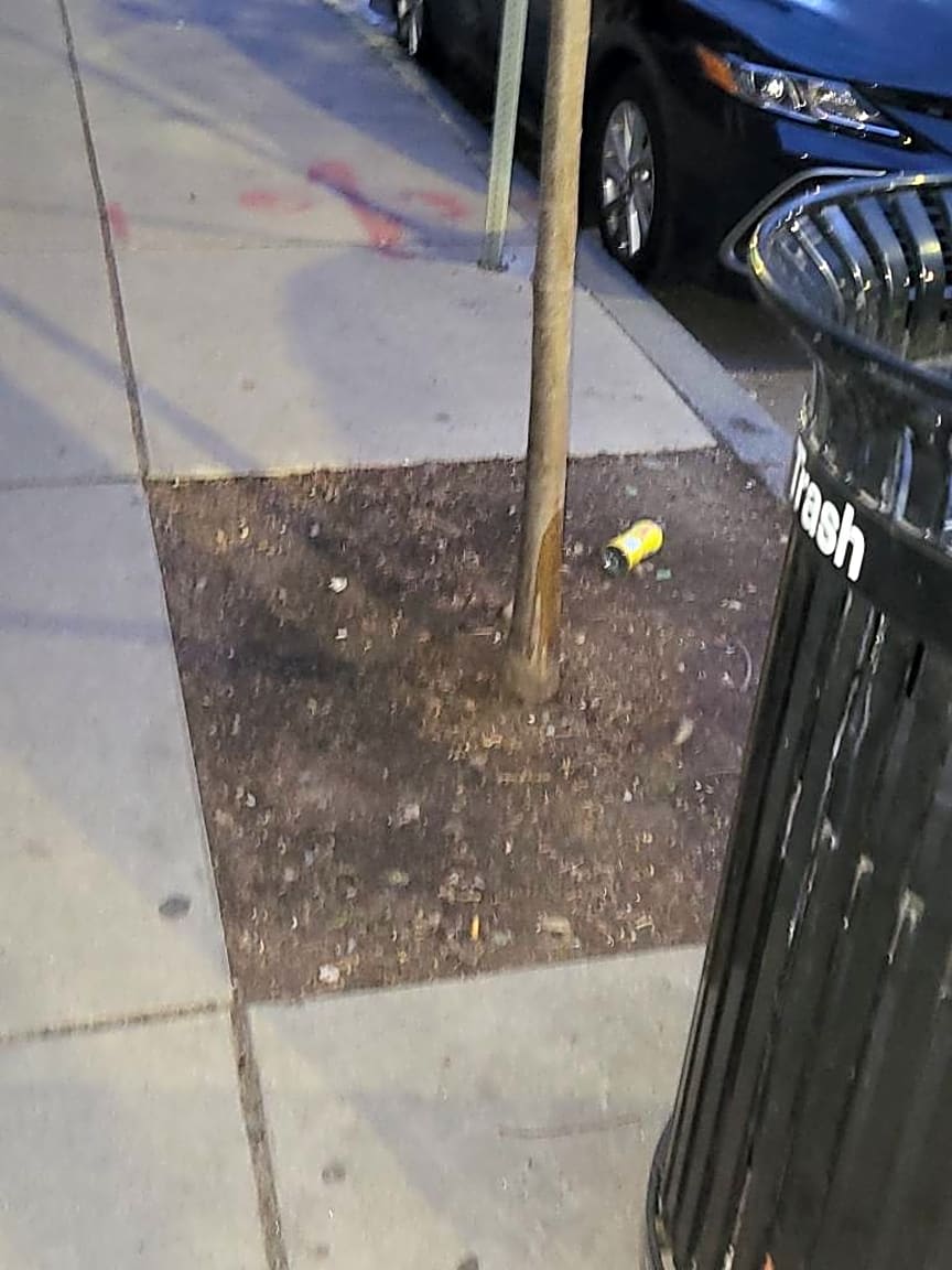 Image submitted with report