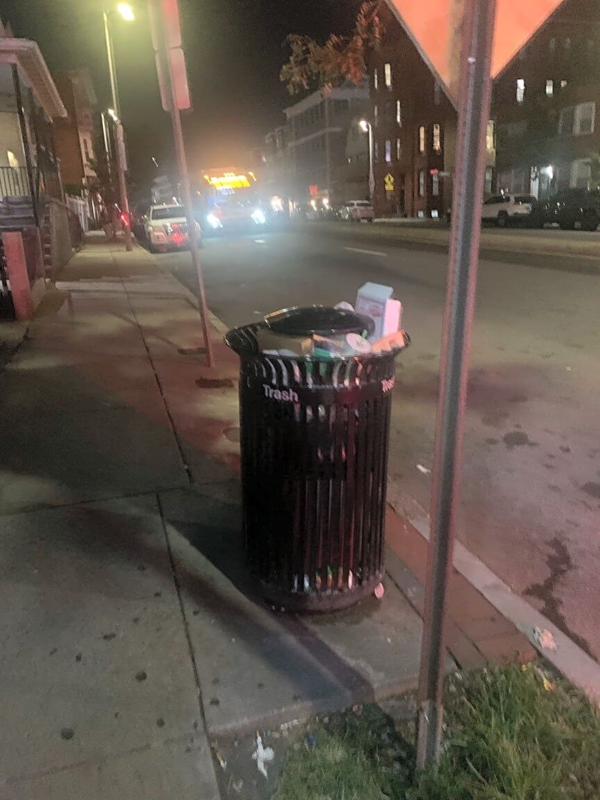 Image submitted with report