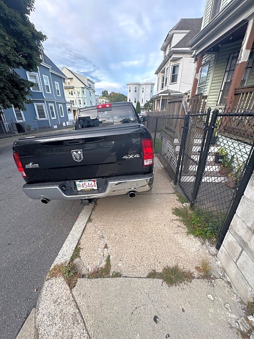 Image submitted with report