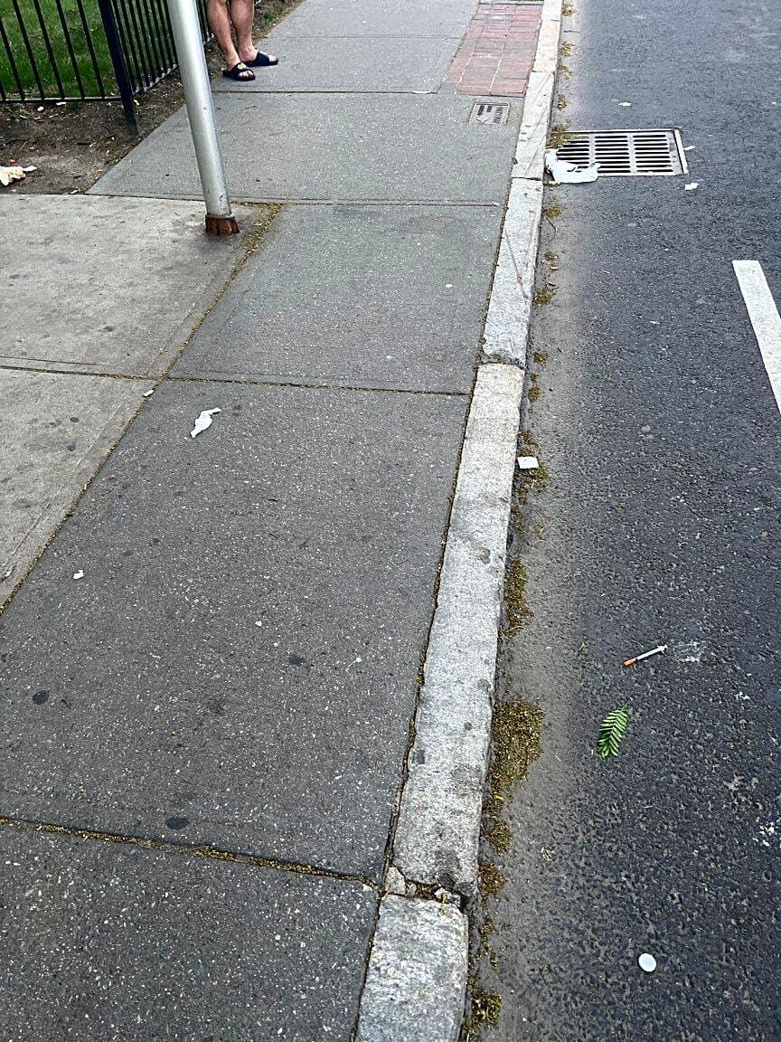 Image submitted with report