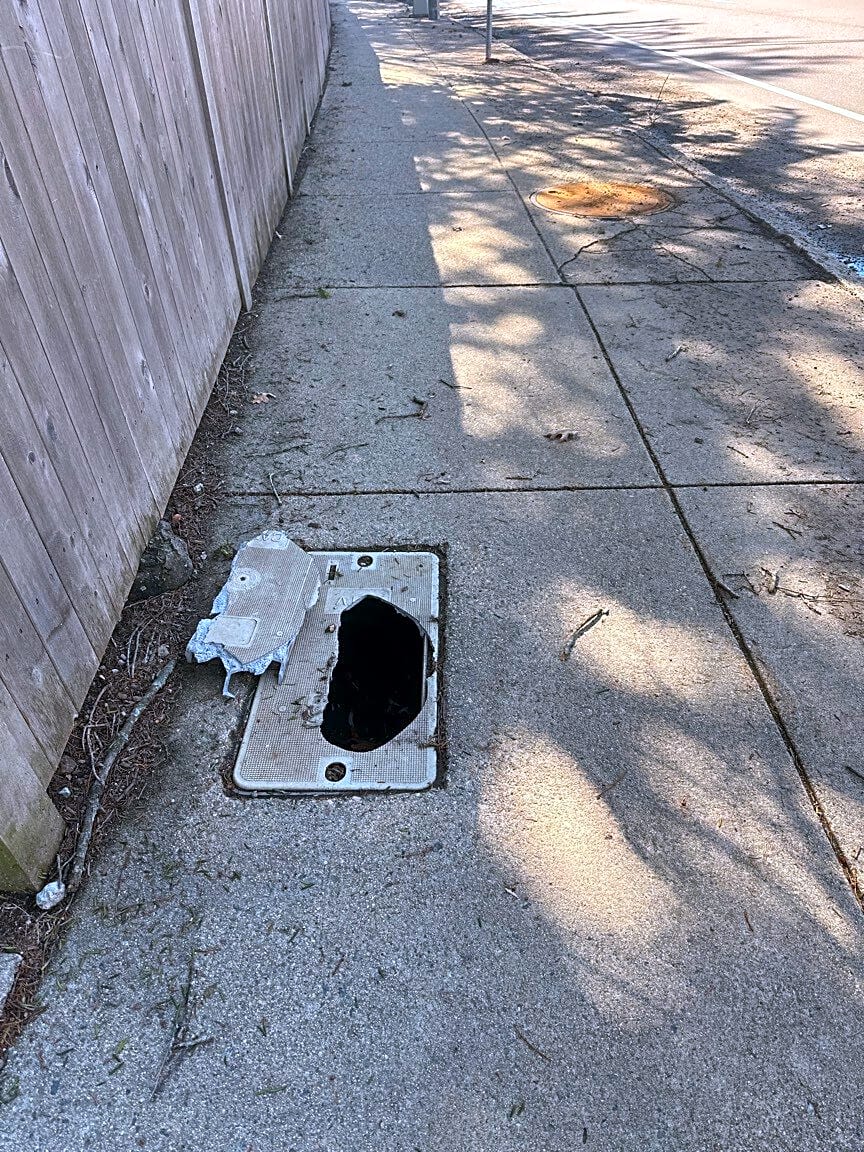 Image submitted with report