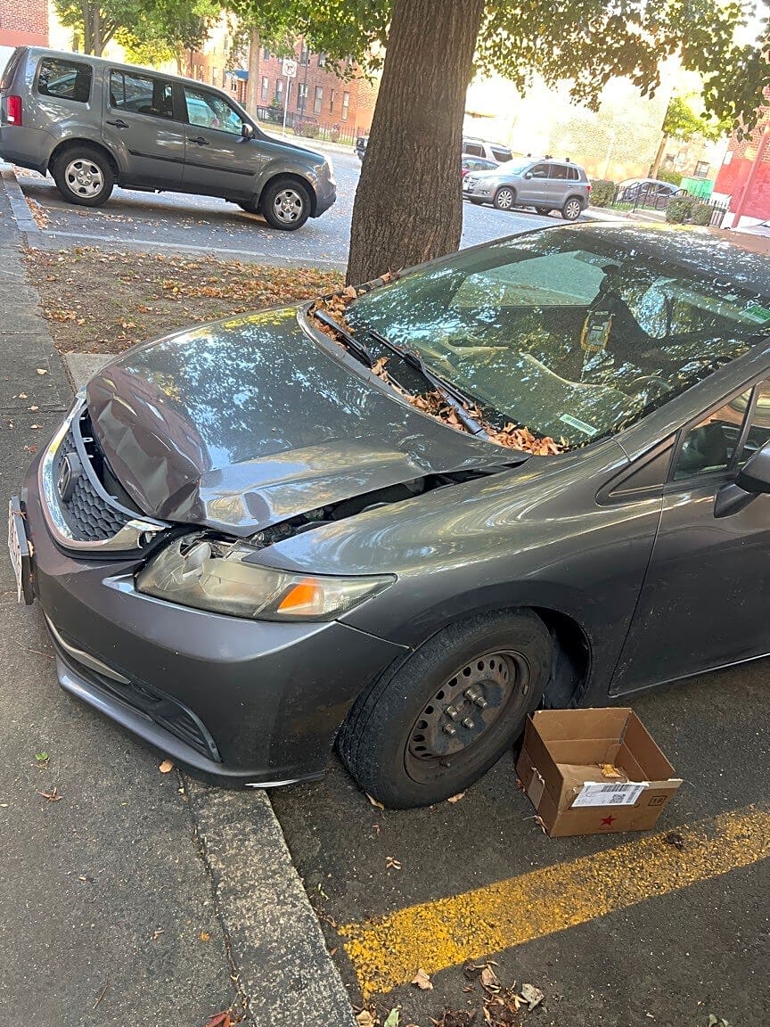 Image submitted with report