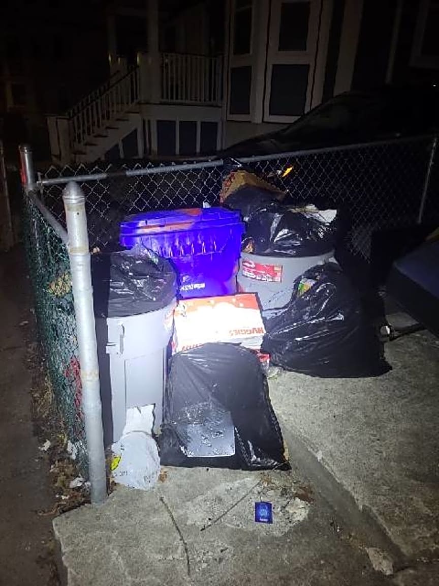 Image submitted with report