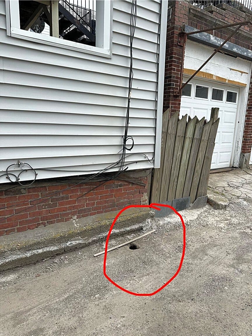 Image submitted with report