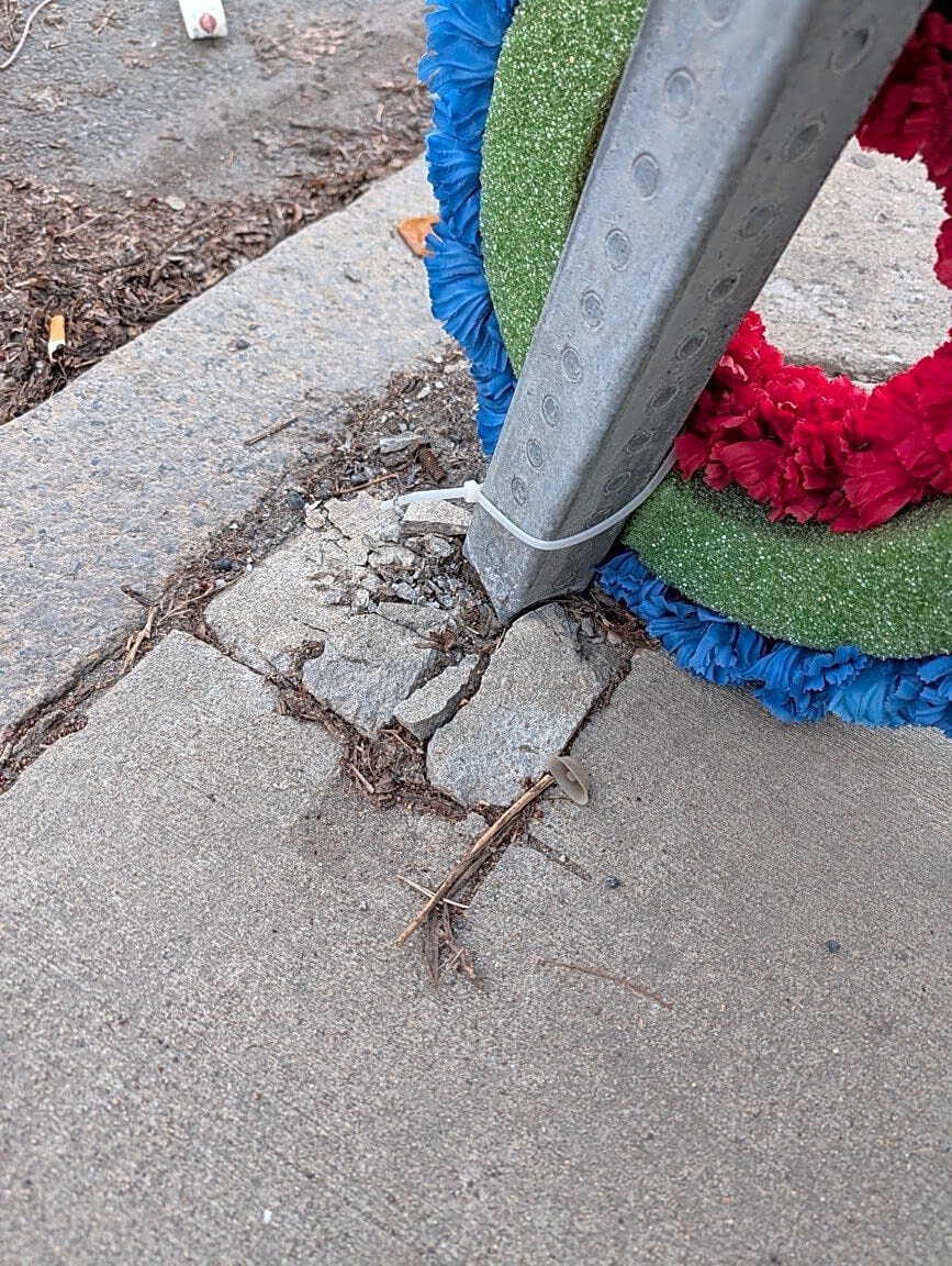 Image submitted with report