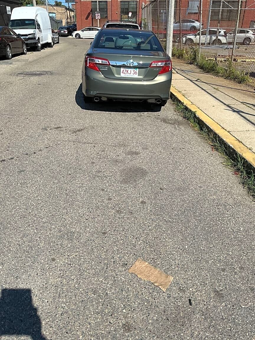 Image submitted with report