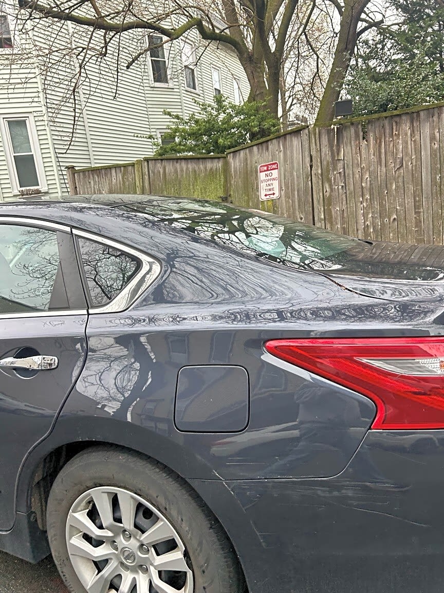 Image submitted with report