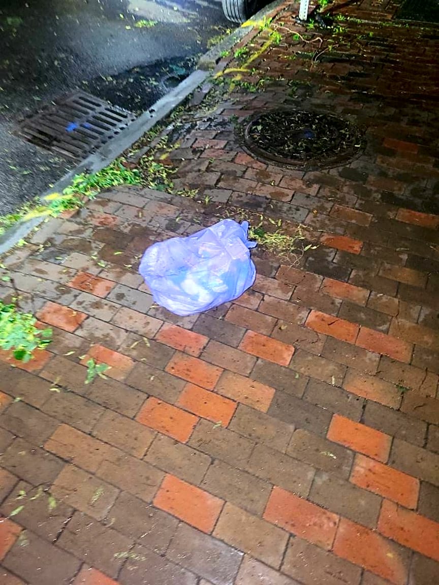 Image submitted with report