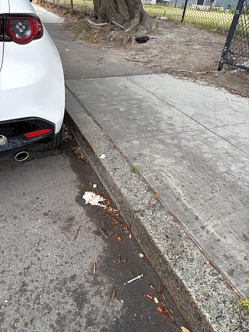 Image submitted with report
