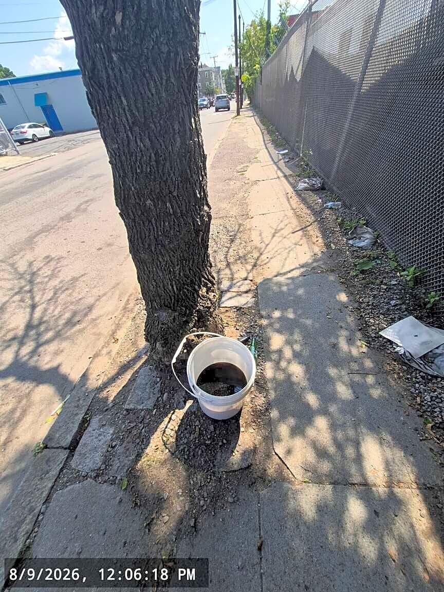 Image submitted with report
