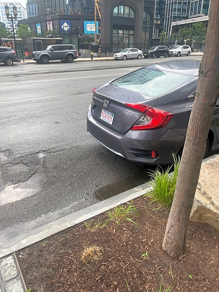 Image submitted with report