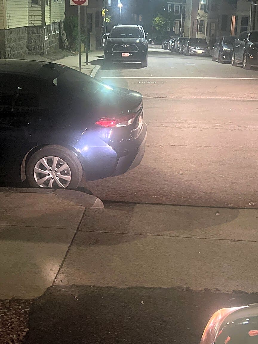 Image submitted with report