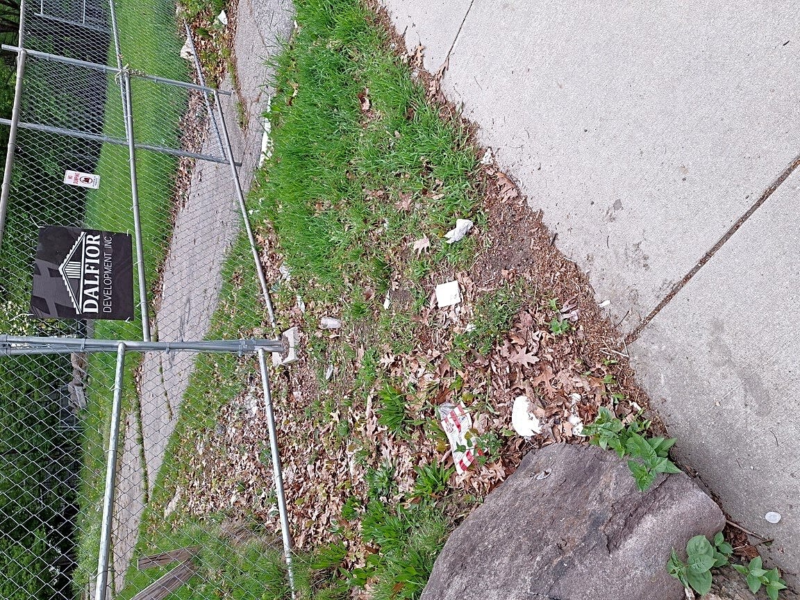 Image submitted with report