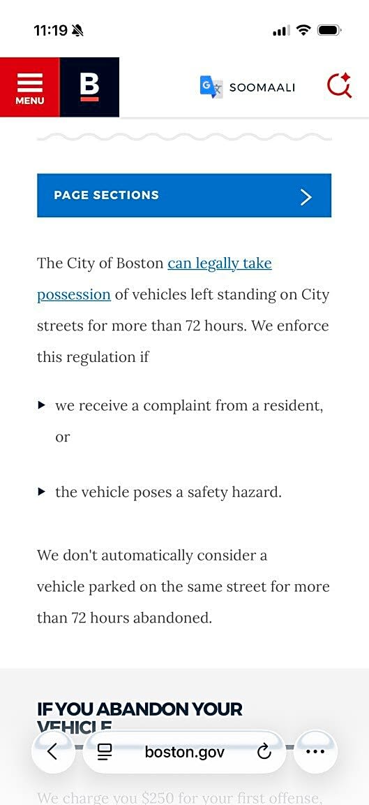 Image submitted with report