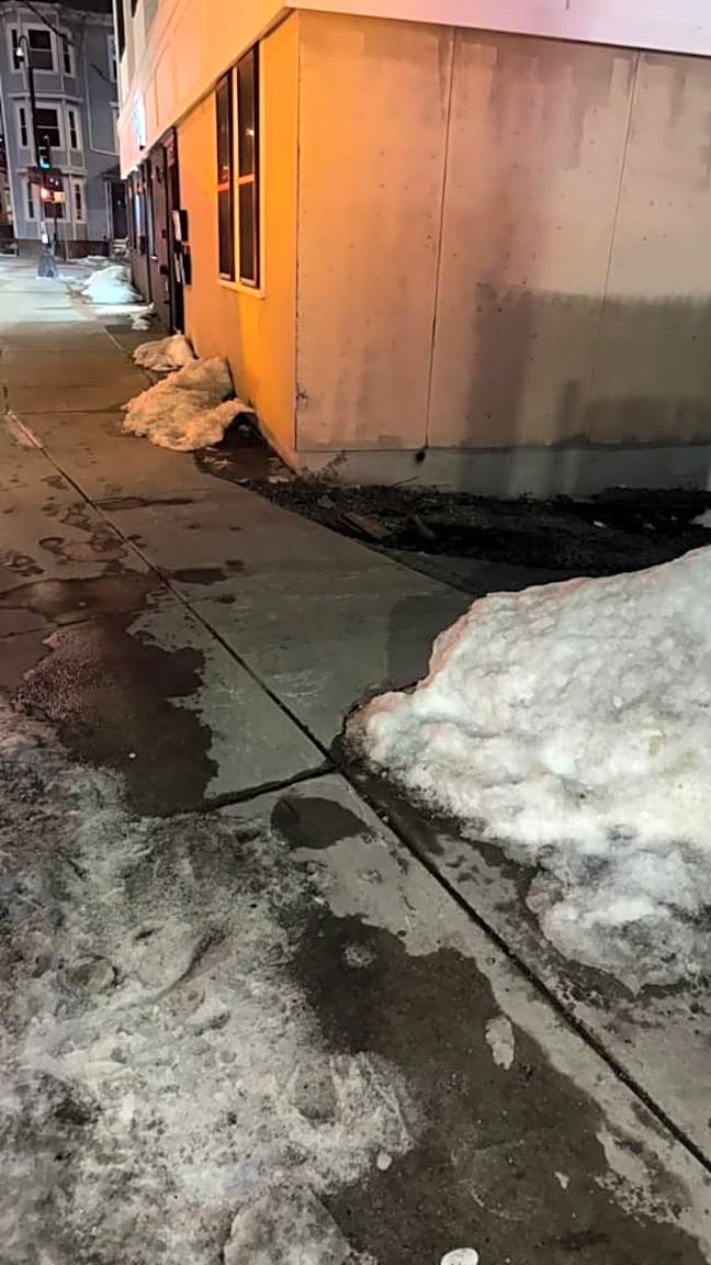 Image submitted with report