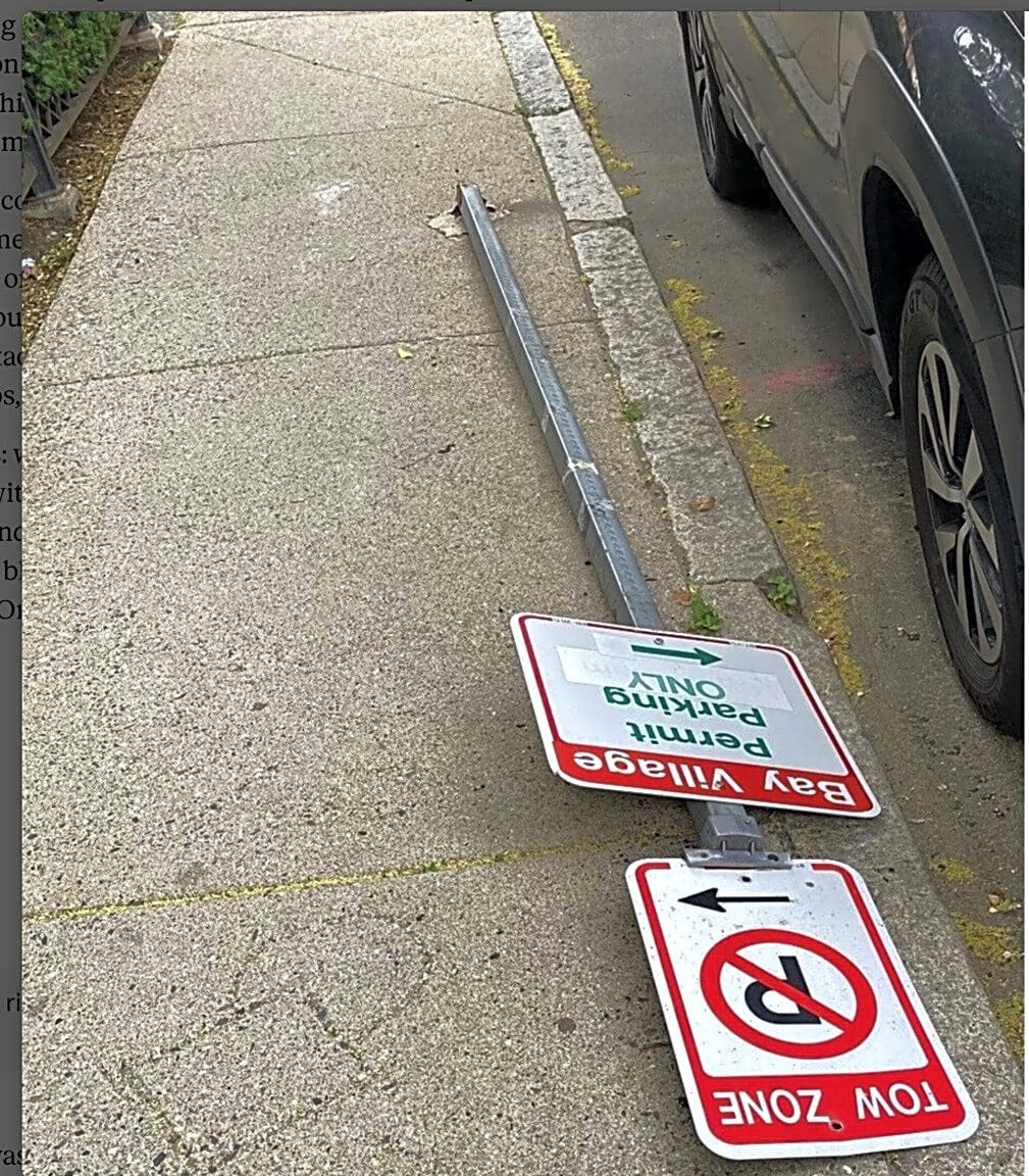 Image submitted with report