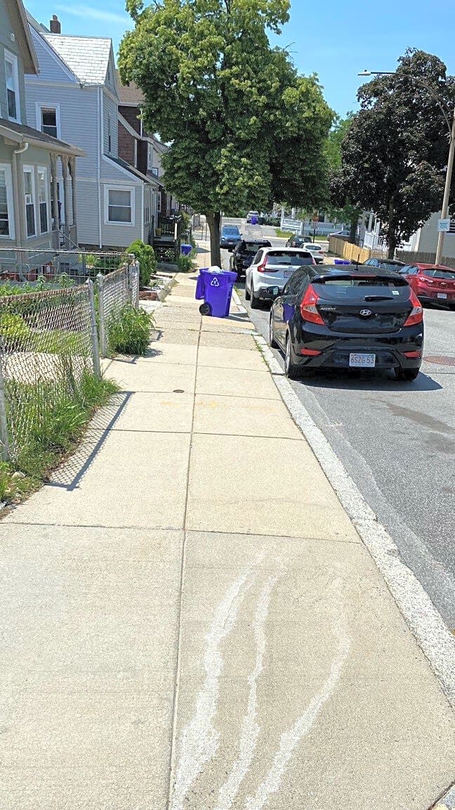 Image submitted with report