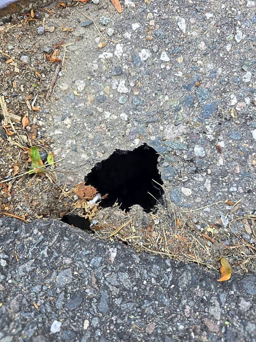 Image submitted with report