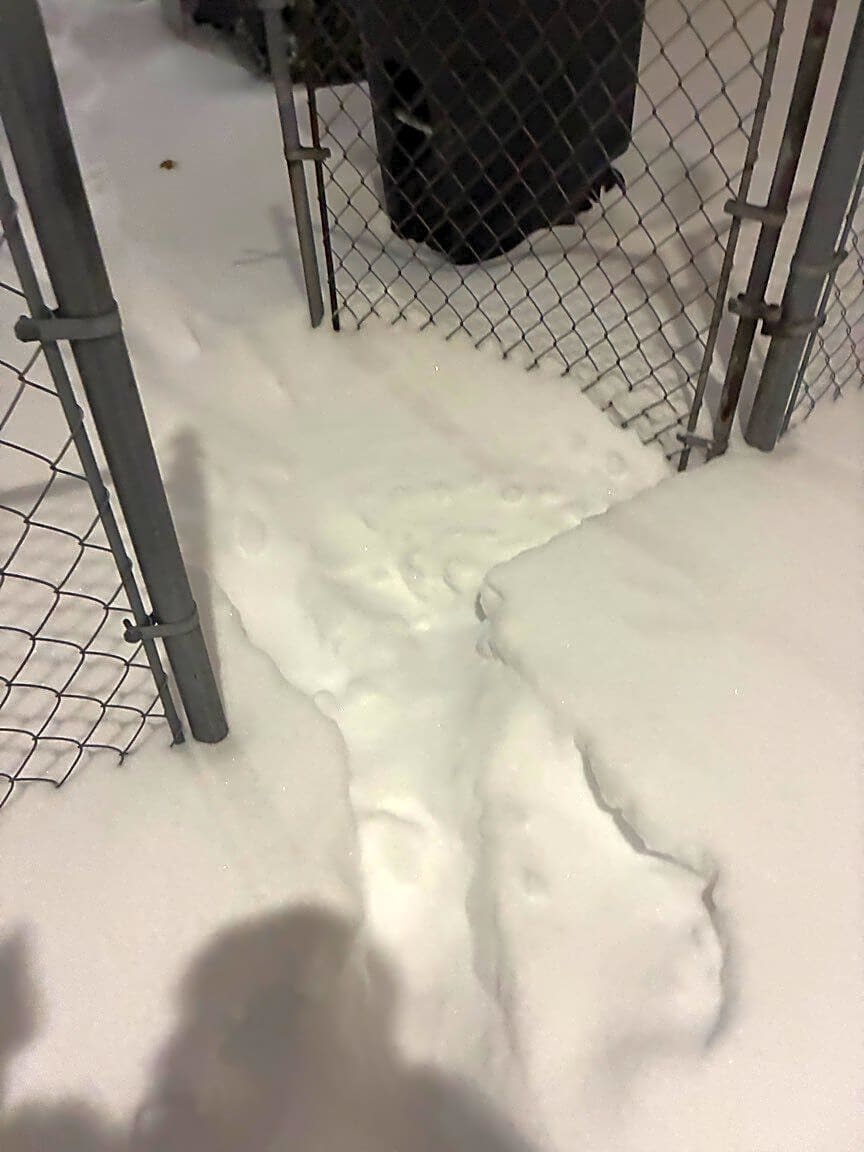 Image submitted with report