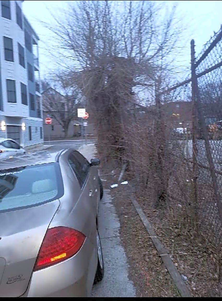 Image submitted with report