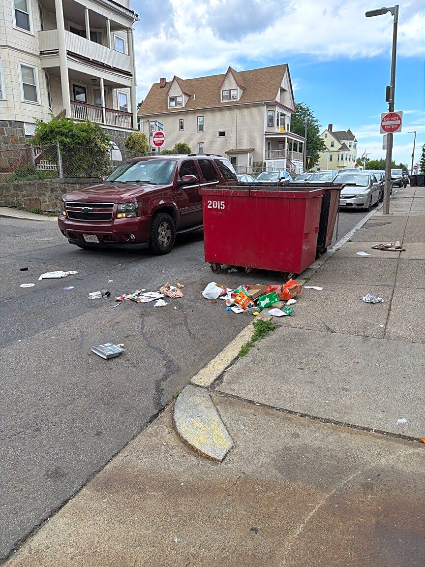 Image submitted with report