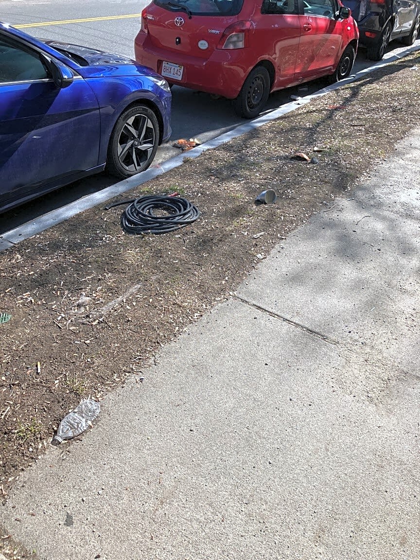 Image submitted with report