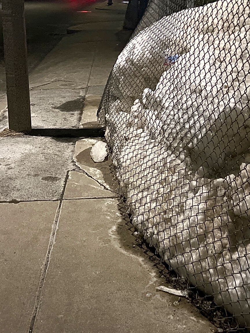 Image submitted with report