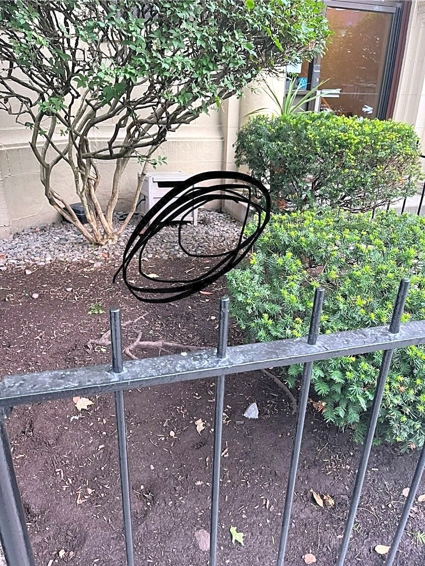 Image submitted with report